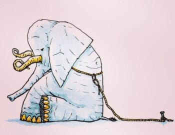 Öğrenilmiş Çaresizlik