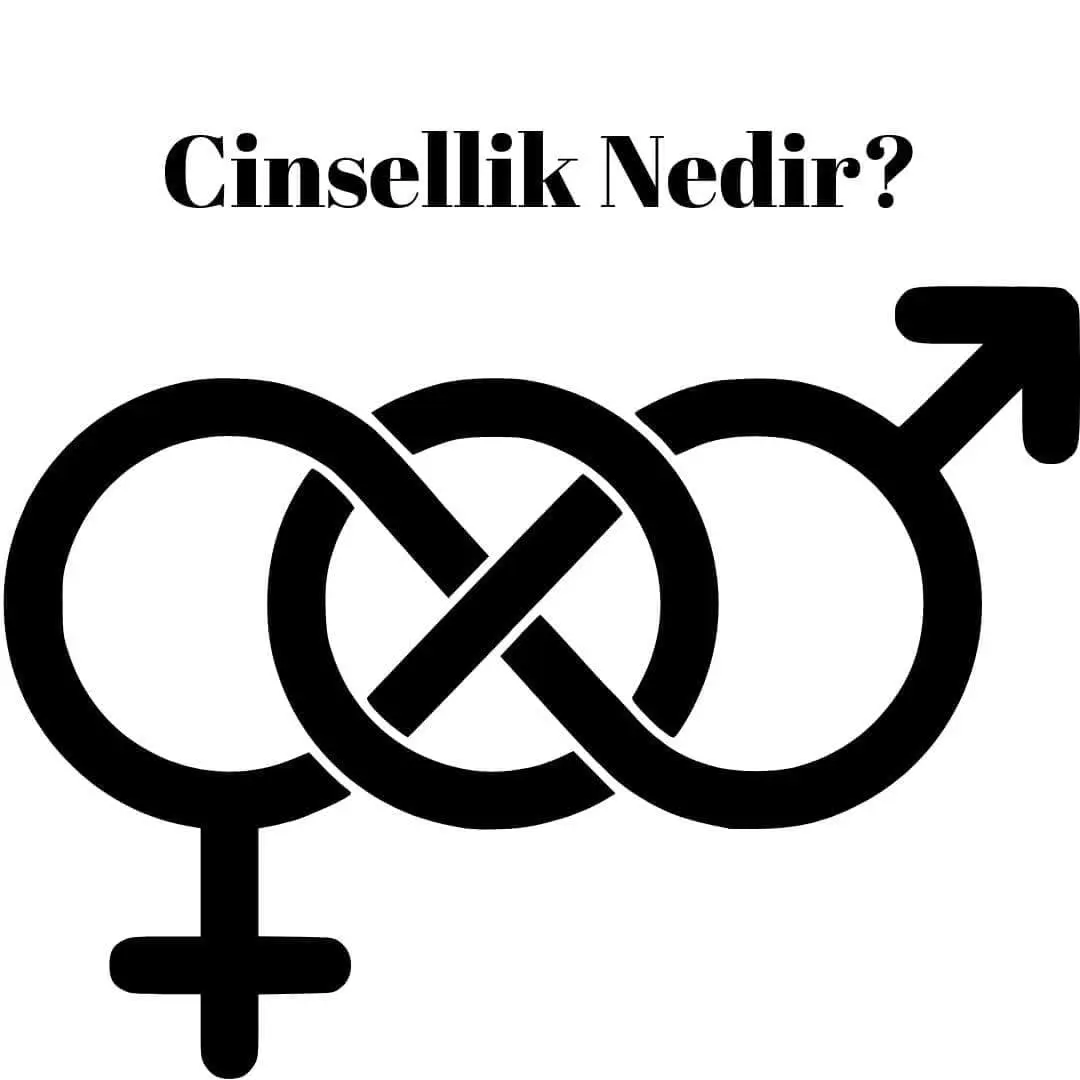 Cinsellik Nedir?