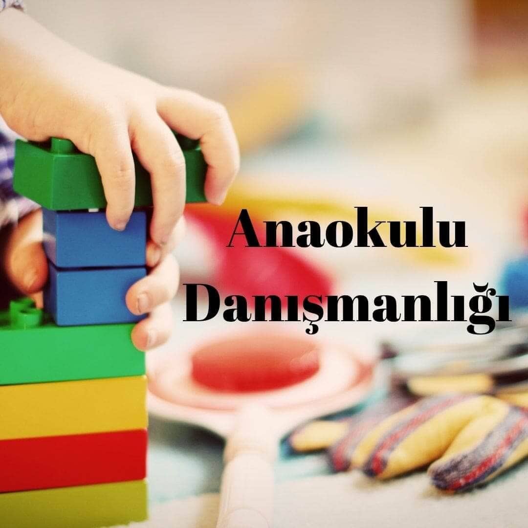 Anaokulu Danışmanlığı