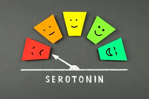 Serotonin Nedir