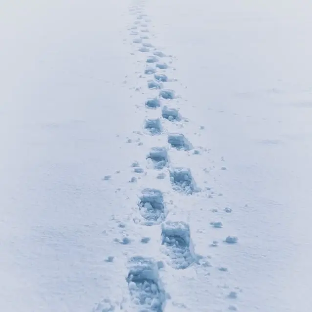 Cotard Sendormu nedir?